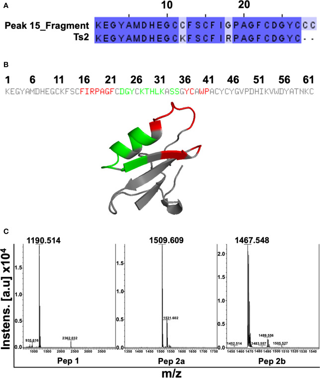 Figure 4