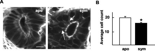 FIG. 7.