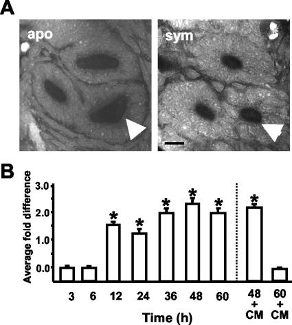 FIG. 6.