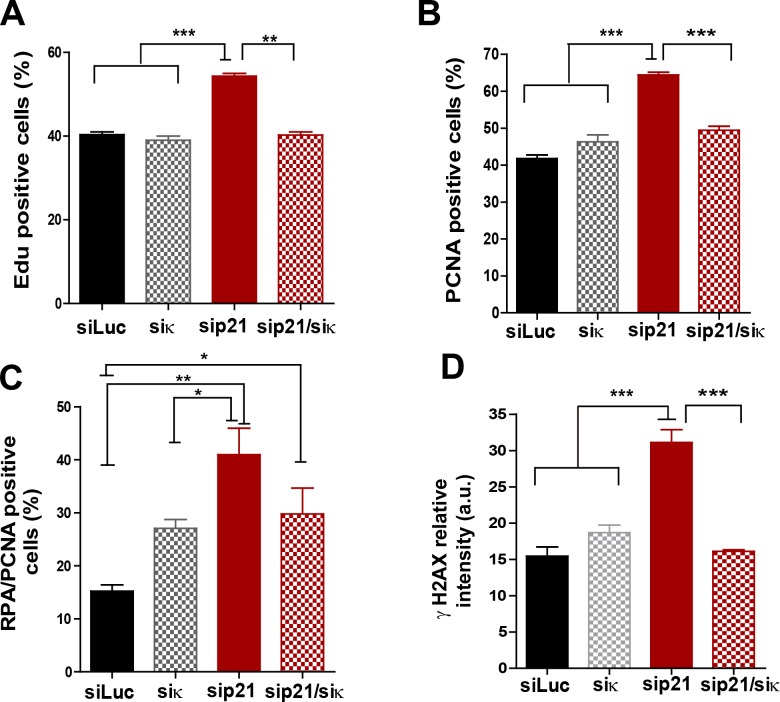 Figure 6—figure supplement 1.