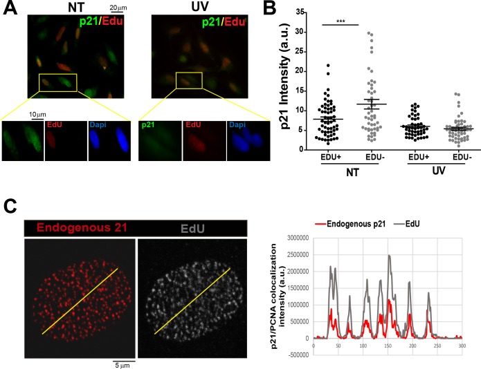 Figure 1—figure supplement 1.