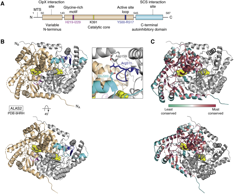 Figure 2