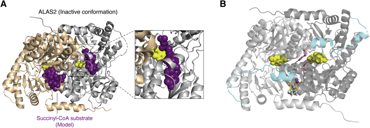 Figure 4