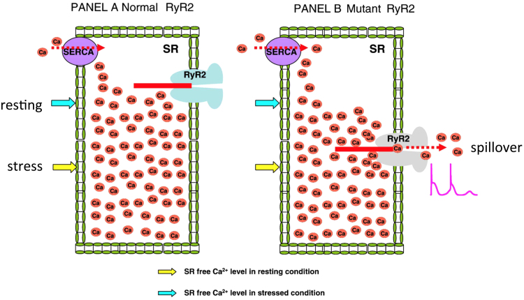 Fig. 4.