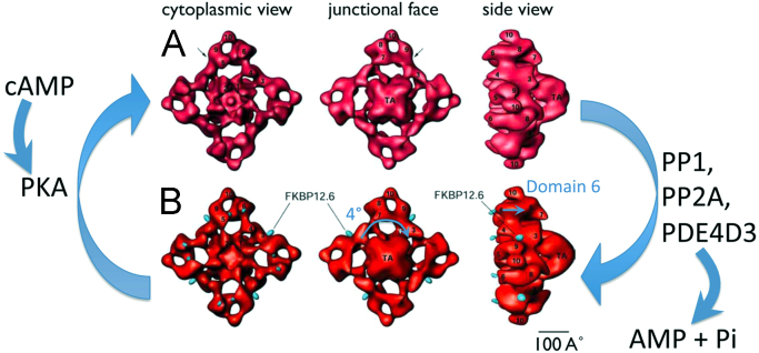 Fig. 2.