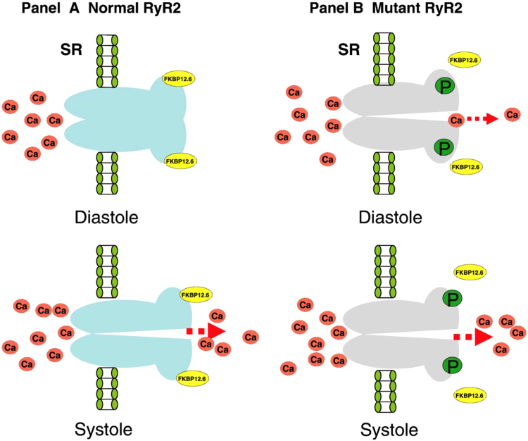 Fig. 3.