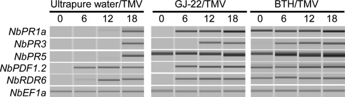 Figure 5