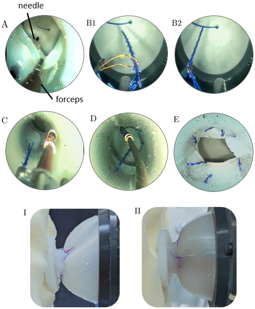 Fig. 5.