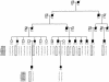 Figure  2