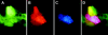 FIG. 4.