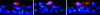 FIG. 6.