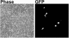 FIG. 7.