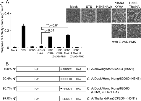 FIG. 7.