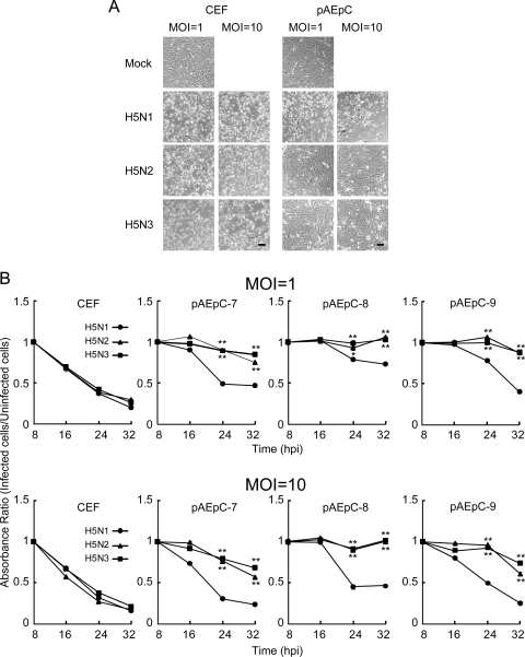 FIG. 1.