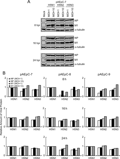 FIG. 4.