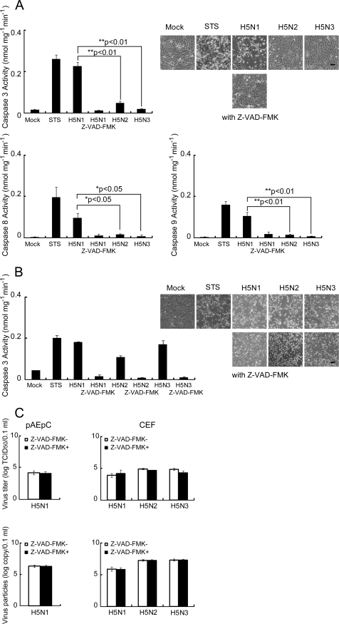 FIG. 6.