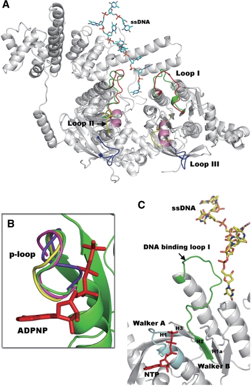 Figure 4.