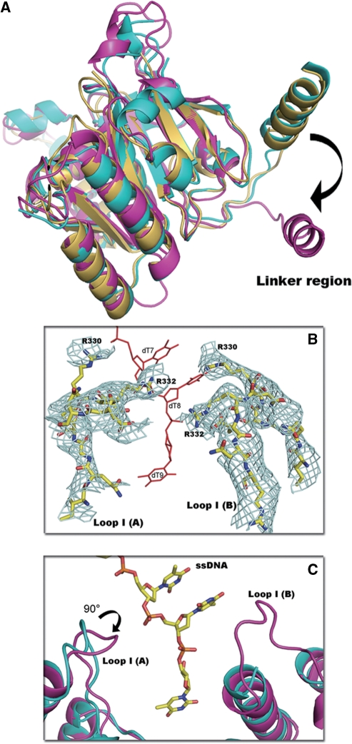 Figure 3.