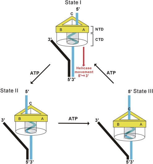 Figure 6.