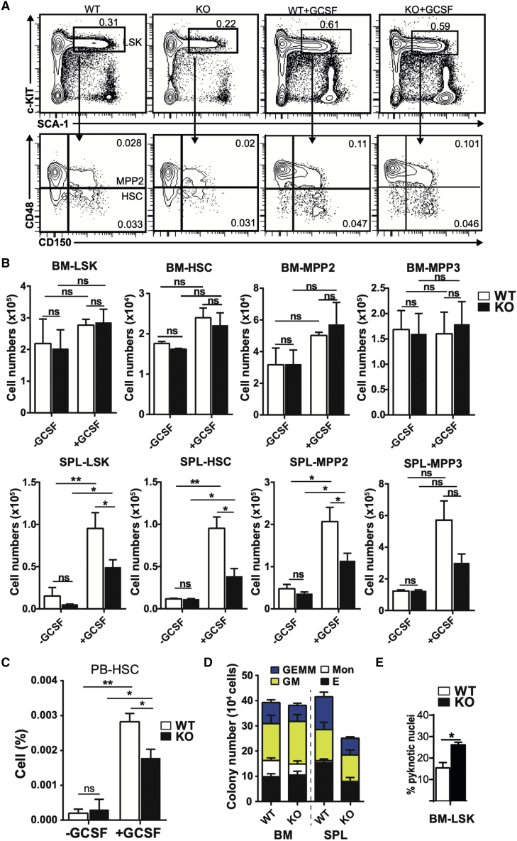 Figure 6