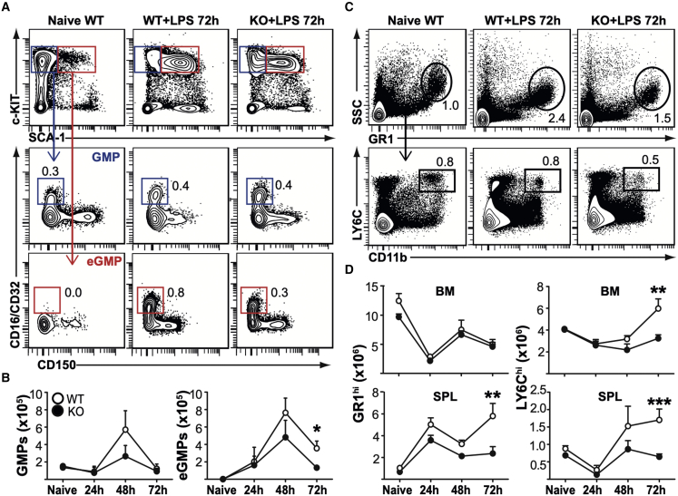 Figure 5