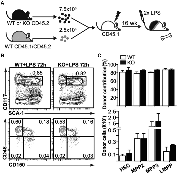 Figure 4