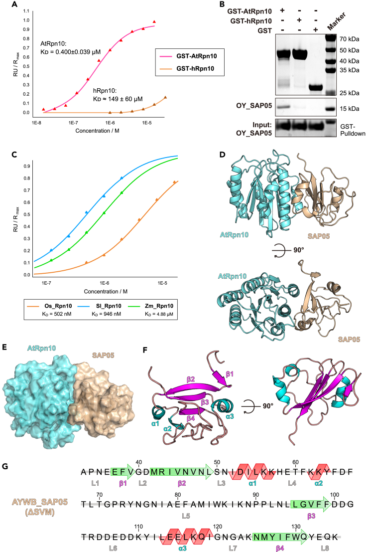 Figure 1