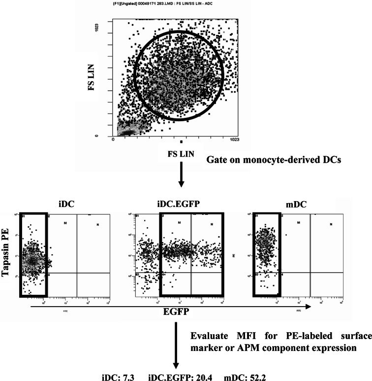 Fig. 1