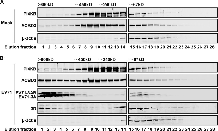 FIG 6