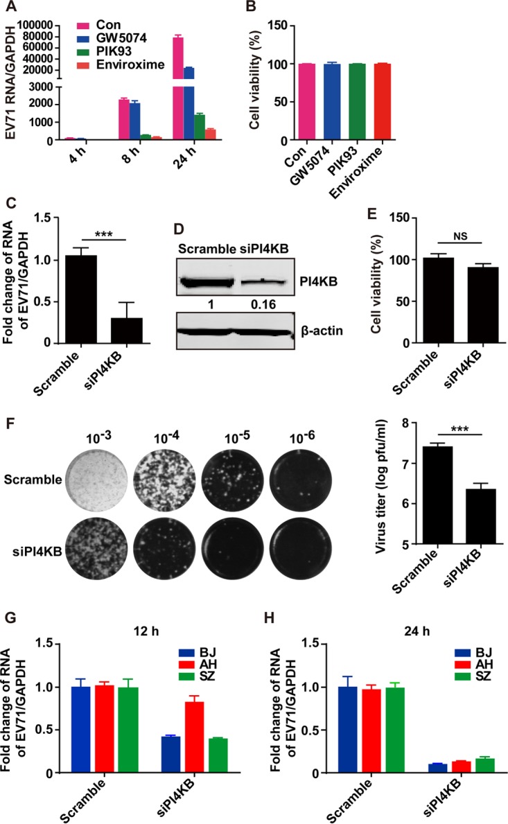 FIG 1