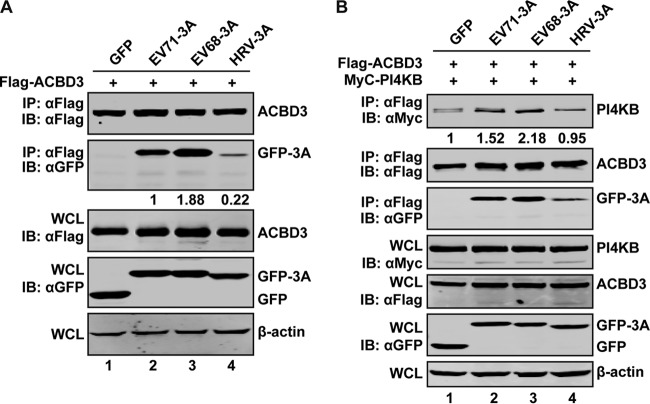 FIG 9