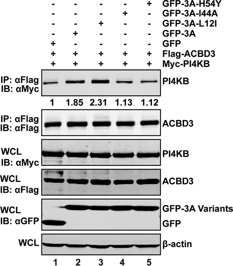 FIG 7