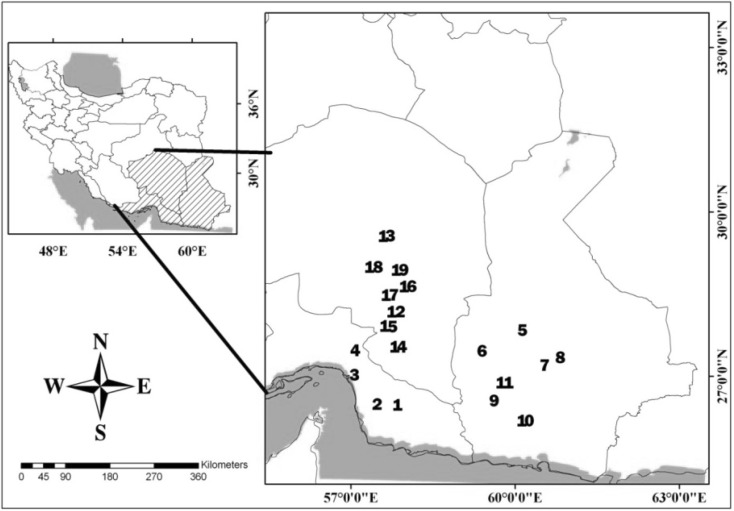 Fig. 1