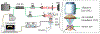 Fig. 1.