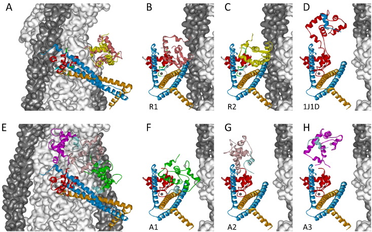 Fig. 4