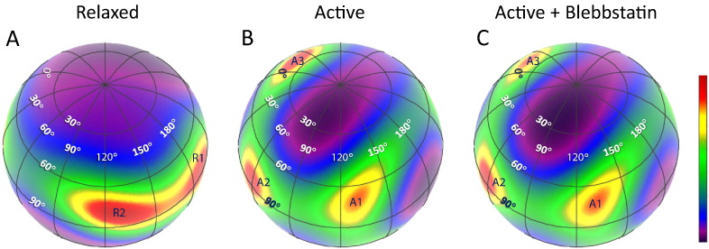 Fig. 3