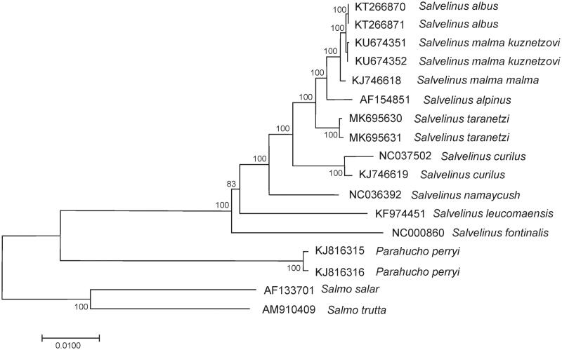 Figure 1.