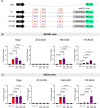 Figure 5—figure supplement 1.