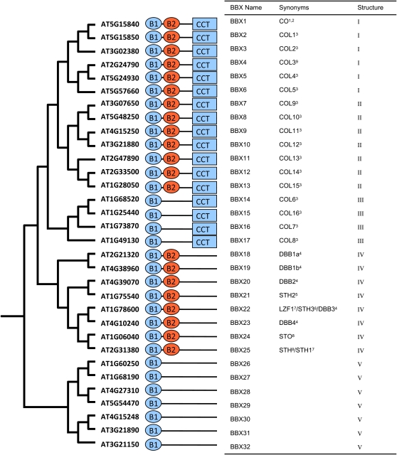 Figure 3.