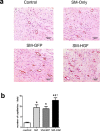 Fig 8