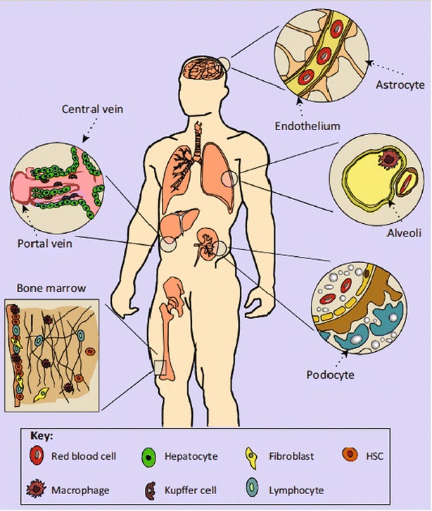 Fig. 3