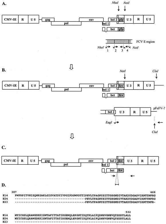 FIG. 1.