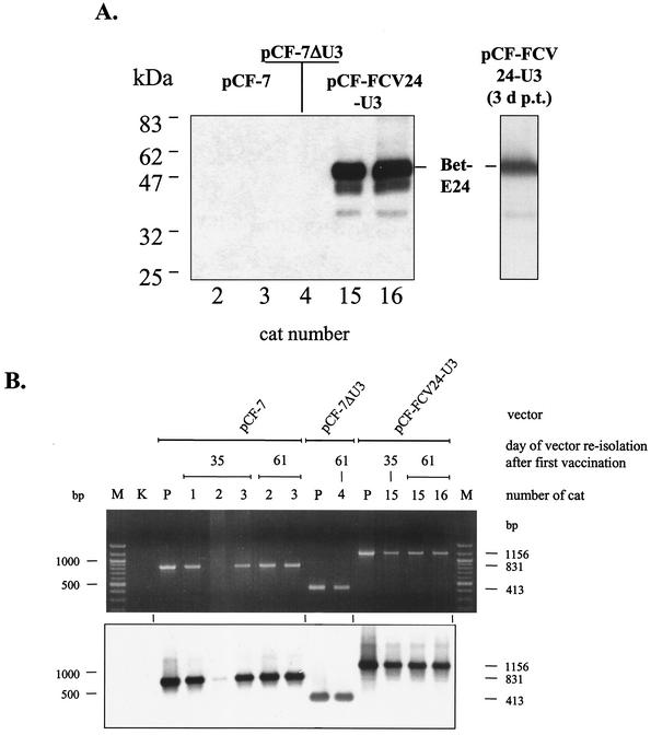 FIG. 6.