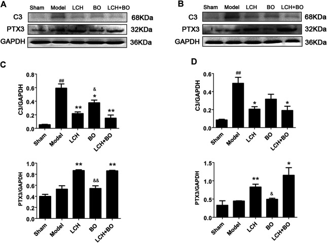 FIGURE 15