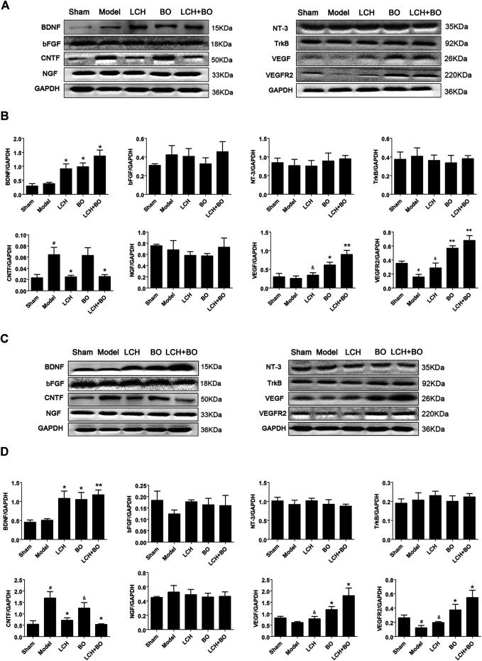 FIGURE 14