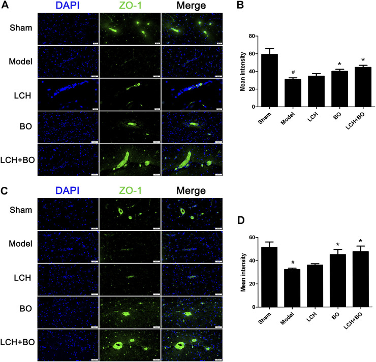 FIGURE 13