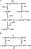 Scheme 1