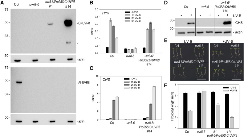 Figure 3.