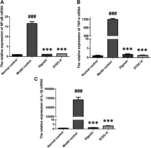 FIGURE 6