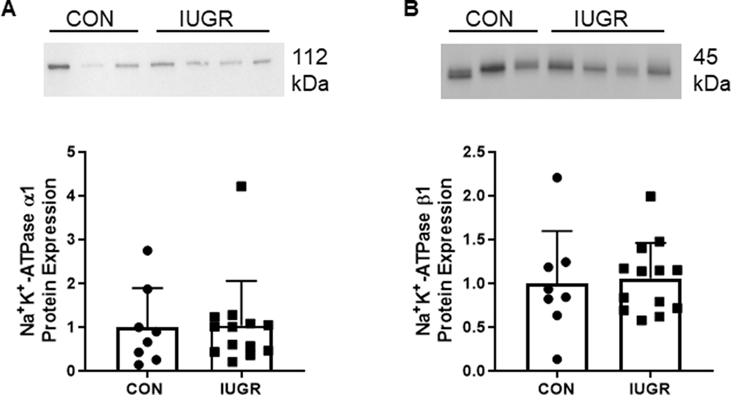 Figure 6.